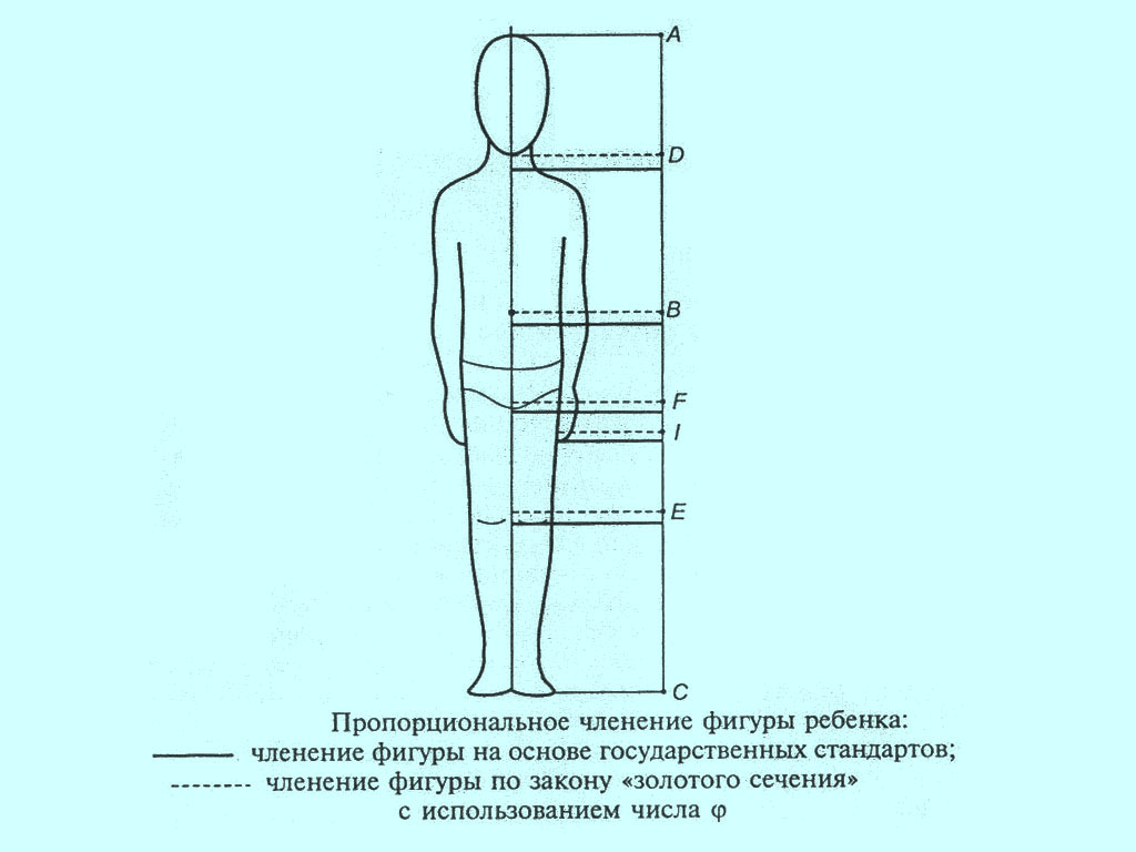 Конструктивные линии | это Что такое Конструктивные линии?