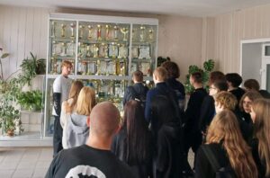 Профессионалитет